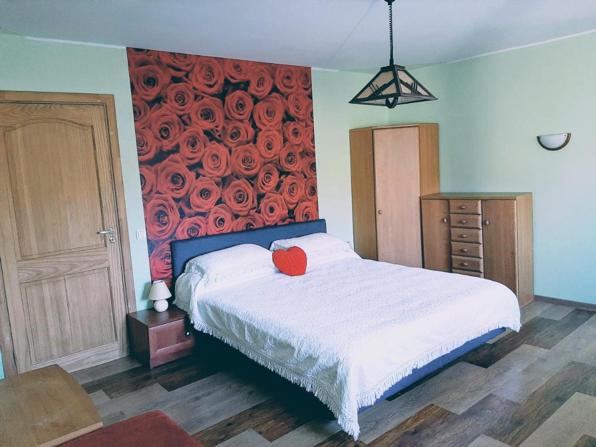 Irene Apartments Druskininkai Dış mekan fotoğraf